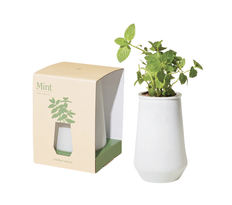 Hydro Grow Kits / Mint